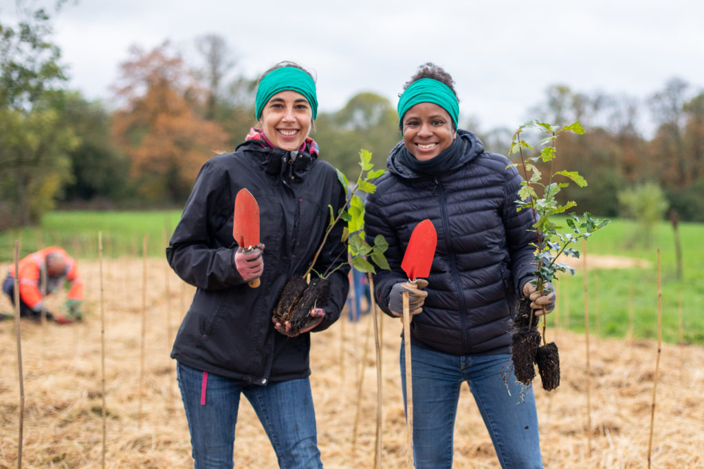 Plantation forêt de Villeneuve avec MinBigForest