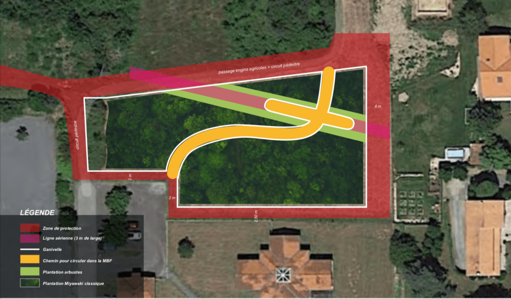MiniBigForest - Forêt de Vertou - plan