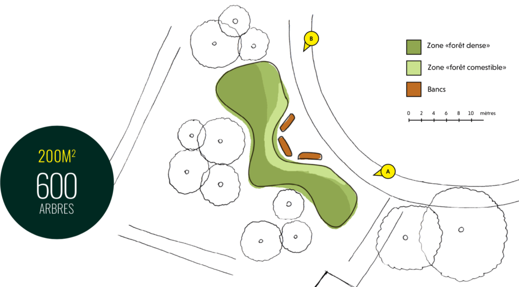 MiniBigForest - Forêt à croquer - plan