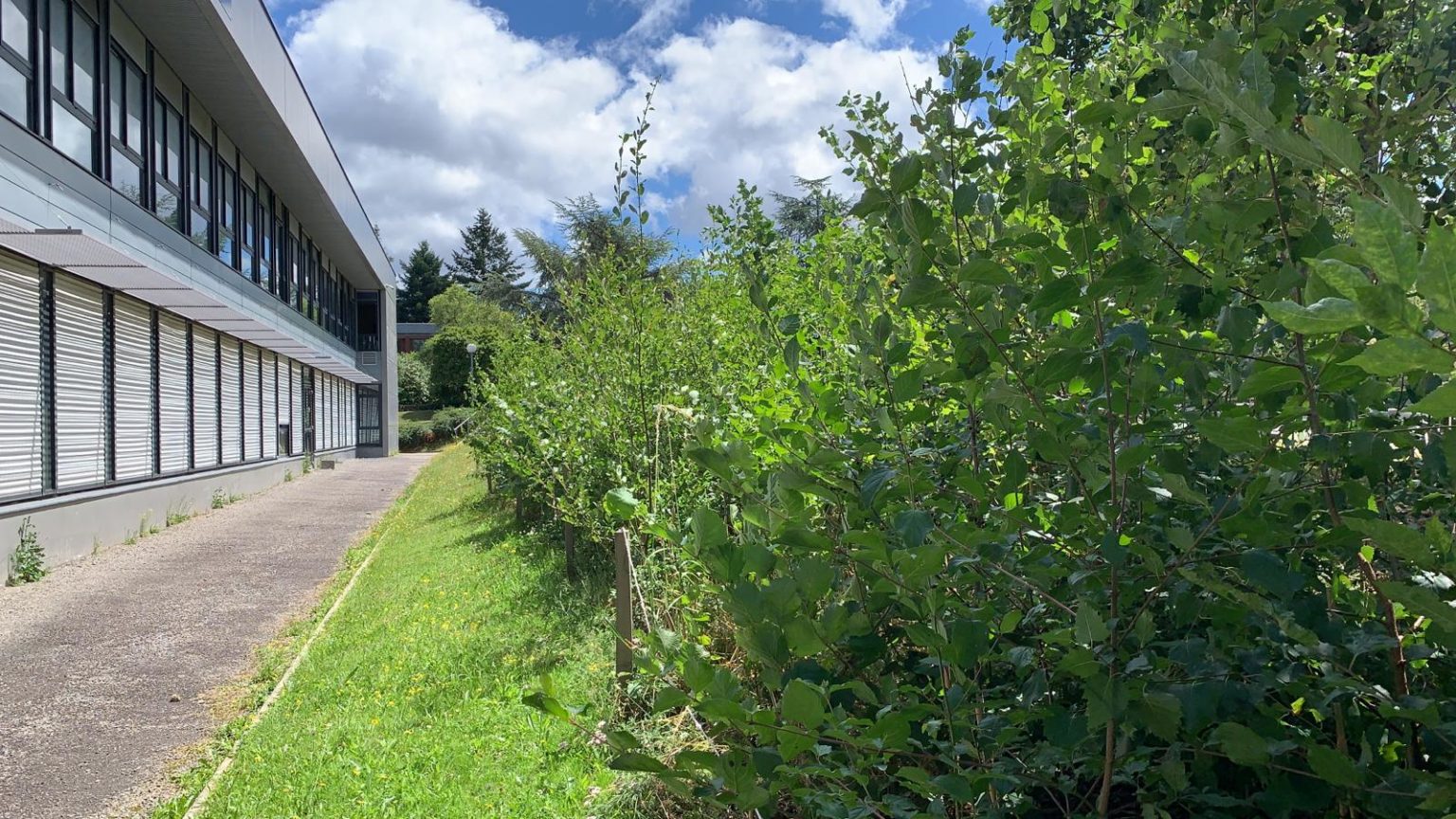 Forêt de l’Université de Nantes MiniBigForest